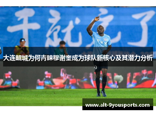 大连鲲城为何青睐穆谢奎成为球队新核心及其潜力分析